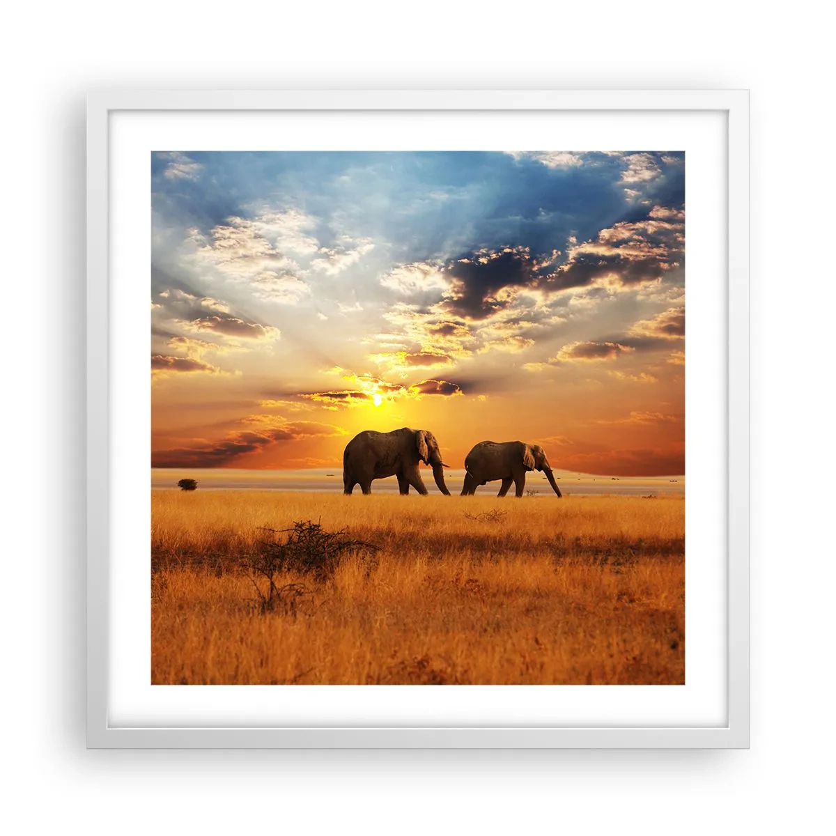 Poster in white frmae - Family Walk - 50x50 cm