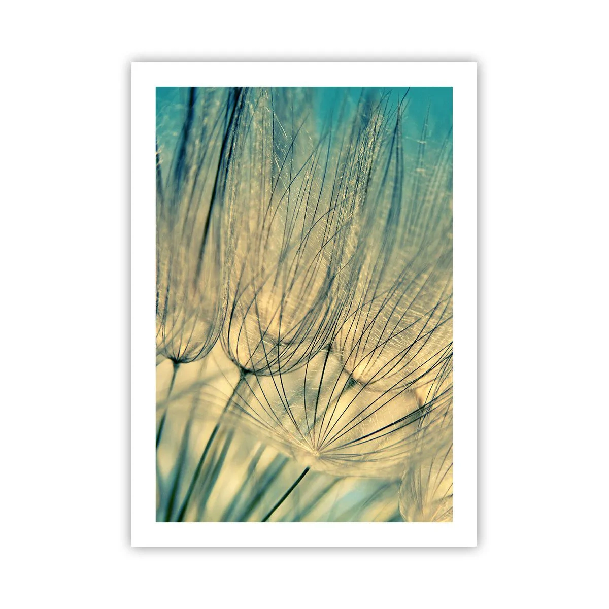 Poster - Waiting for the Wind - 50x70 cm