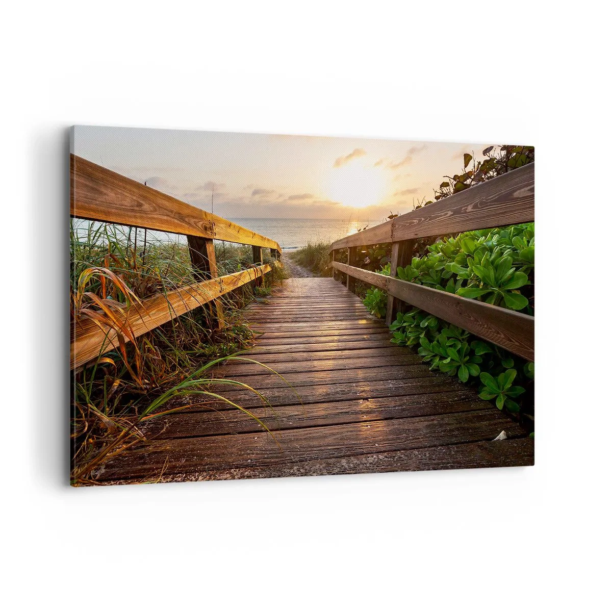 Canvas picture - Straigh to the Shore - 120x80 cm