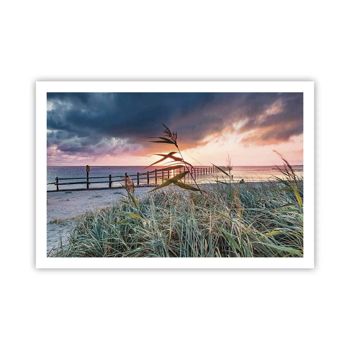 Poster - Not Gone with the Wind - 91x61 cm