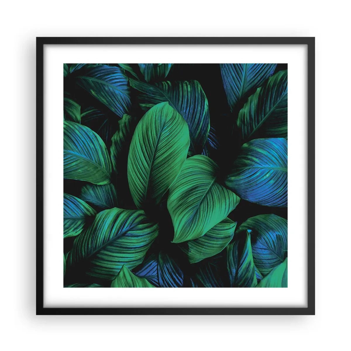 Poster in black frame - In a Green Crowd - 50x50 cm