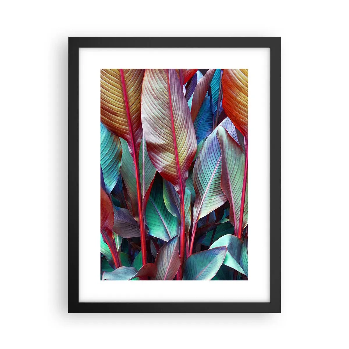 Poster in black frame - Colourful Thicket - 30x40 cm