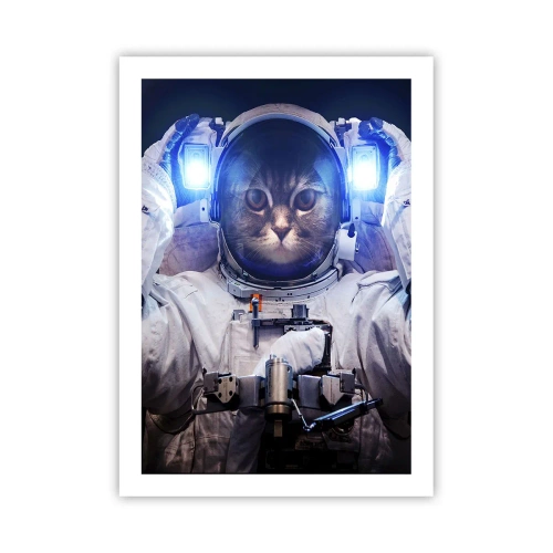 Poster - Houston, You've Got a Problem - 50x70 cm