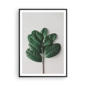 Poster in black frame - Drawing of Nature Itself - 70x100 cm