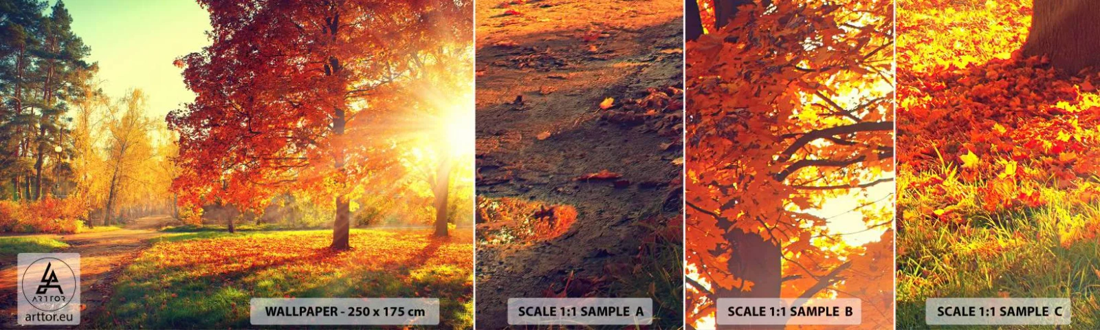 Photo Wallpaper Sample Standard Eco - Ginger Is Beautiful - Landscape, Park, Nature - 100x30 cm