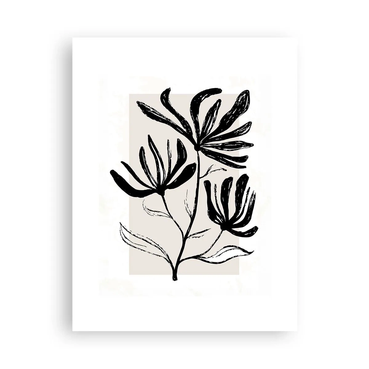 Poster - Sketch for a Herbarium - 30x40 cm