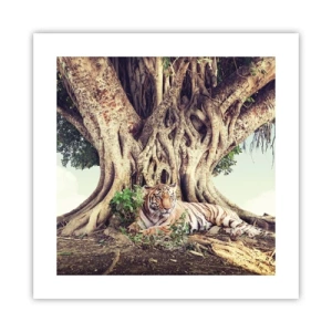 Poster - View from the Genesis - 40x40 cm