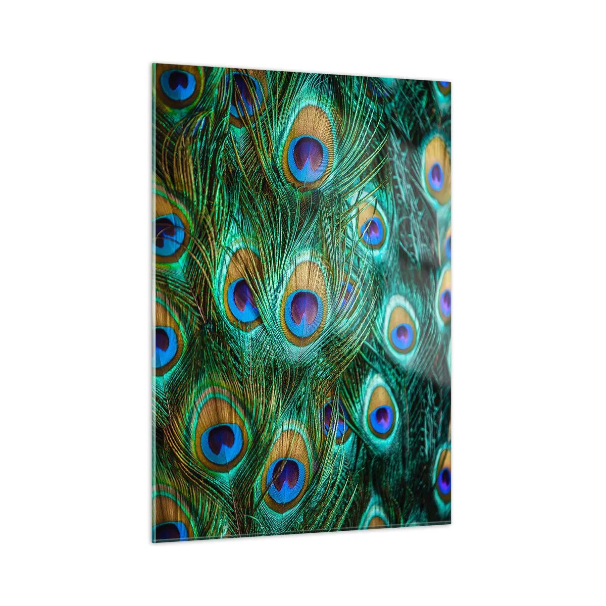 Glass picture - Peacock Eyes - 50x70 cm