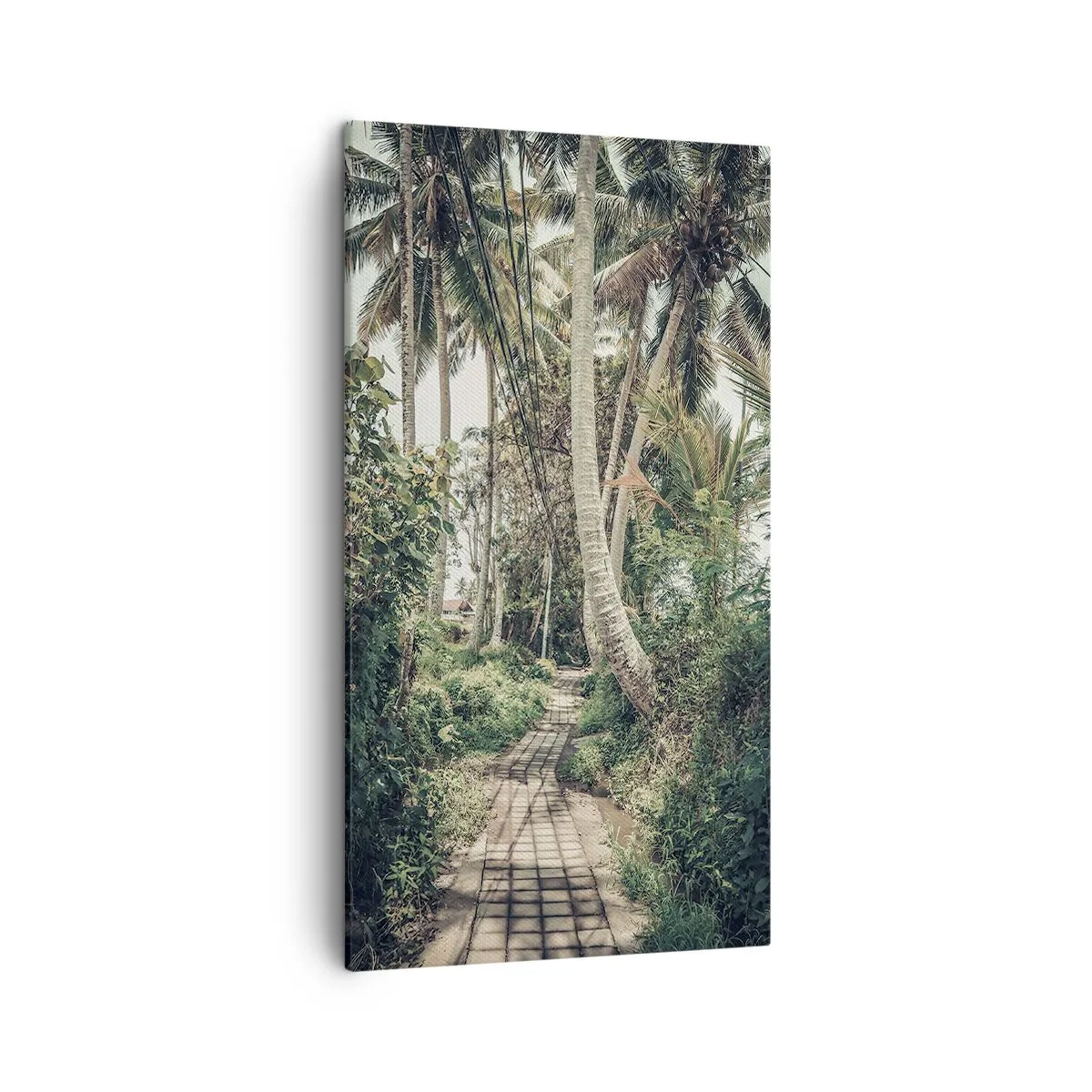 Canvas picture - Palmtree Alley - 45x80 cm