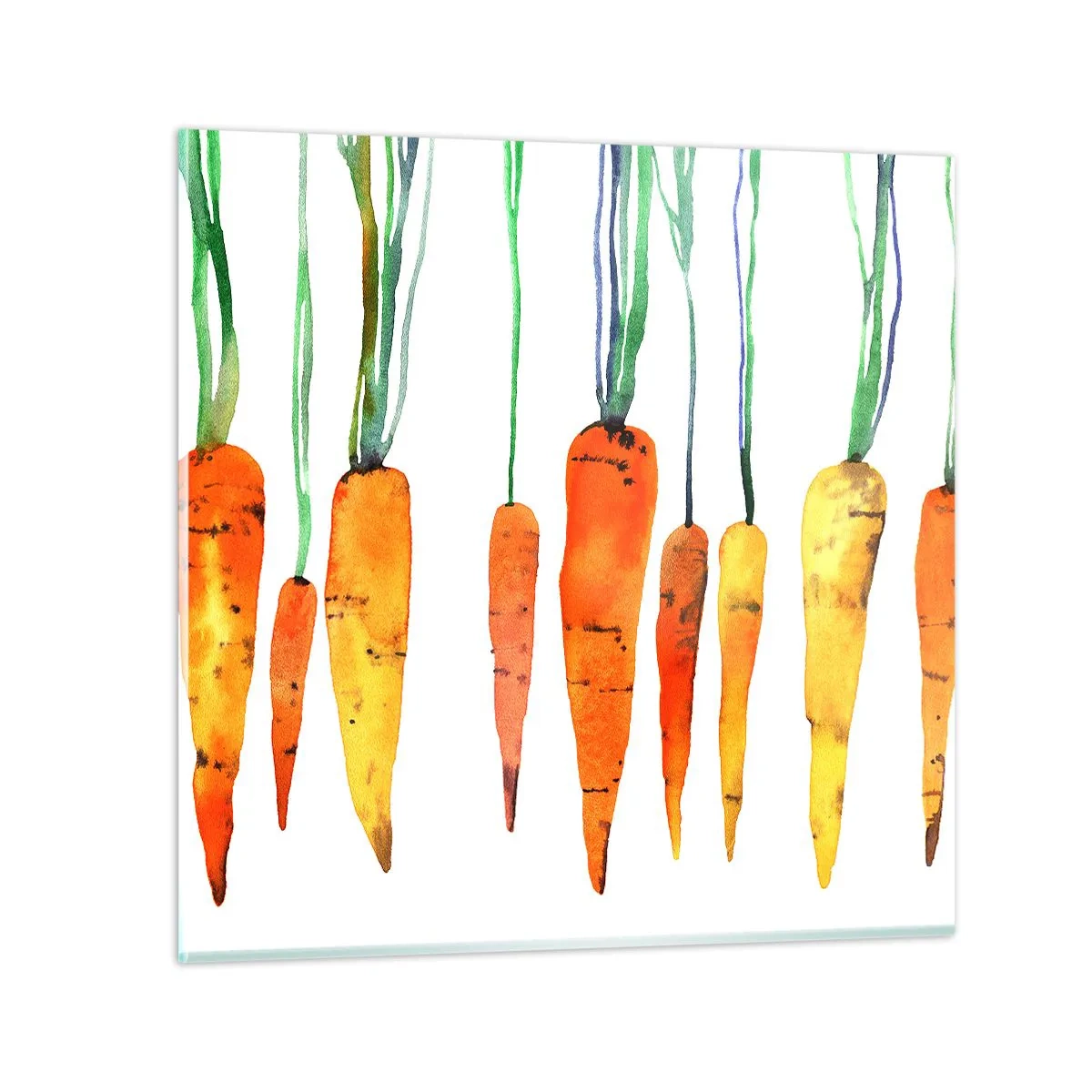 Glass picture - Beauty of Common Carrot - 70x70 cm