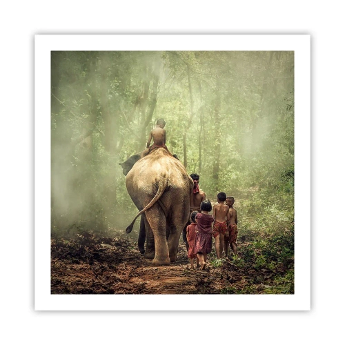 Poster - New Jungle Book - 60x60 cm
