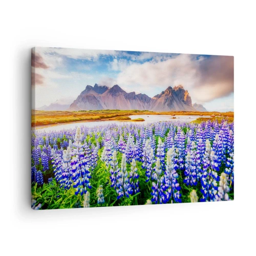 Canvas picture - Flowers in a mountain landscape with a picturesque sky - 70x50cm - Strength and Severity next to Sweetness - Modern wall decoration for the living room and bedroom ARTTOR