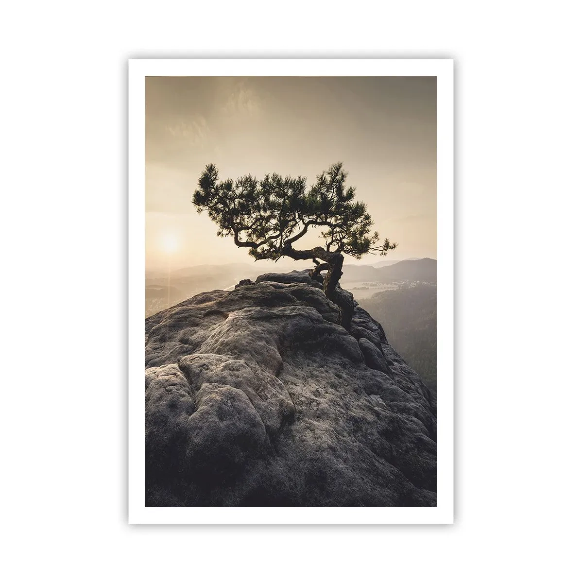 Poster - Life Always Wins - 70x100 cm