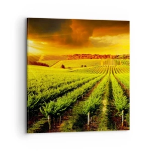 Canvas picture - Under Australian Sun - 70x70 cm