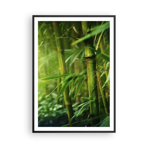 Poster in black frame - Getting to Know the Green - 70x100 cm