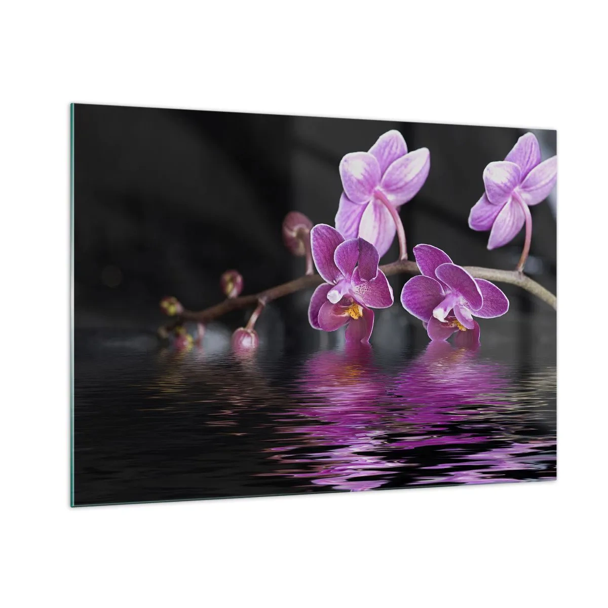 Glass picture - Lilac Reflection of Beauty - 100x70 cm