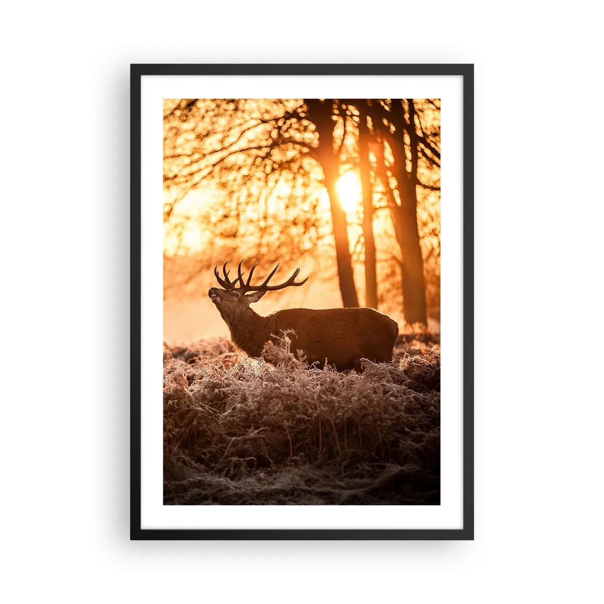 Poster in black frame - Deer in the rays of the rising sun against the background of the forest - 50x70cm - Hunter's Dream - Modern wall decoration for the living room and bedroom ARTTOR