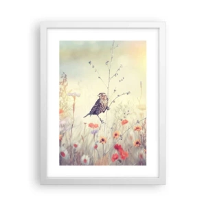 Poster in white frmae - Bird Portrait with a Meadow in the Background - 30x40 cm