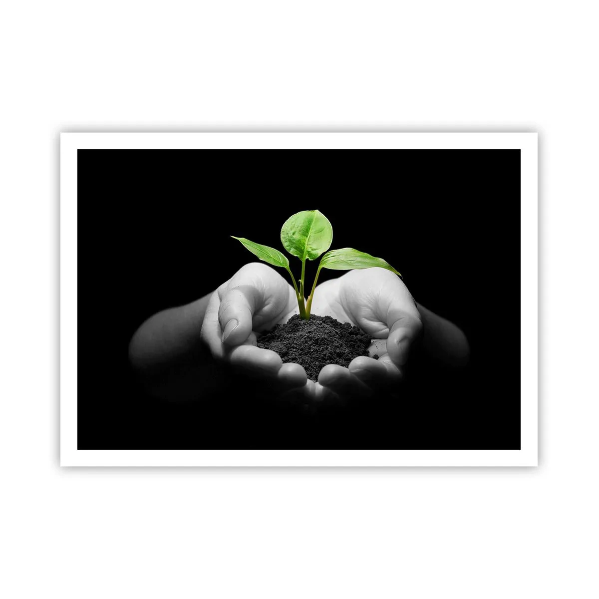 Poster - I Love Nature, I Protect It - 100x70 cm