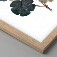 Light Oak