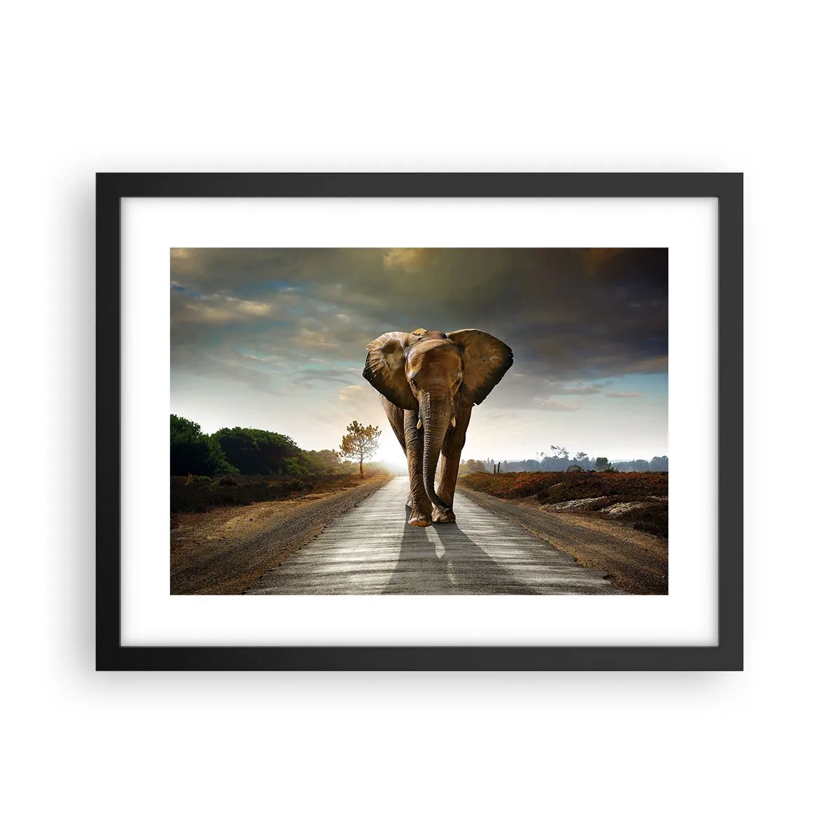 Poster in black frame - Not in a China Shop - 40x30 cm