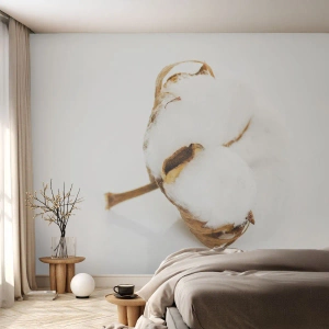 Self-Adhesive Photo Wallpaper Deluxe Sticker - Soft By Nature - Cotton, Minimalistic, Flower - 150x105 cm