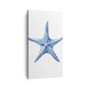 Canvas picture - Sea Star - 45x80 cm