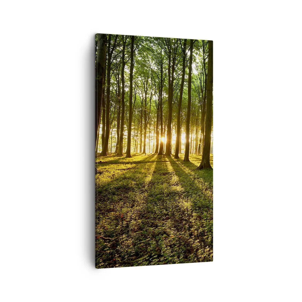 Canvas picture - Photography of All Springs - 45x80 cm