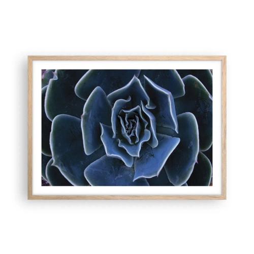 Poster in light oak frame - Flower of the Desert - 70x50 cm
