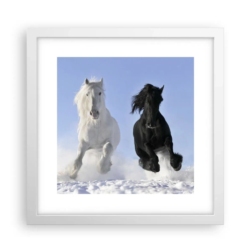 Poster in white frmae - Black and White Gallop - 30x30 cm