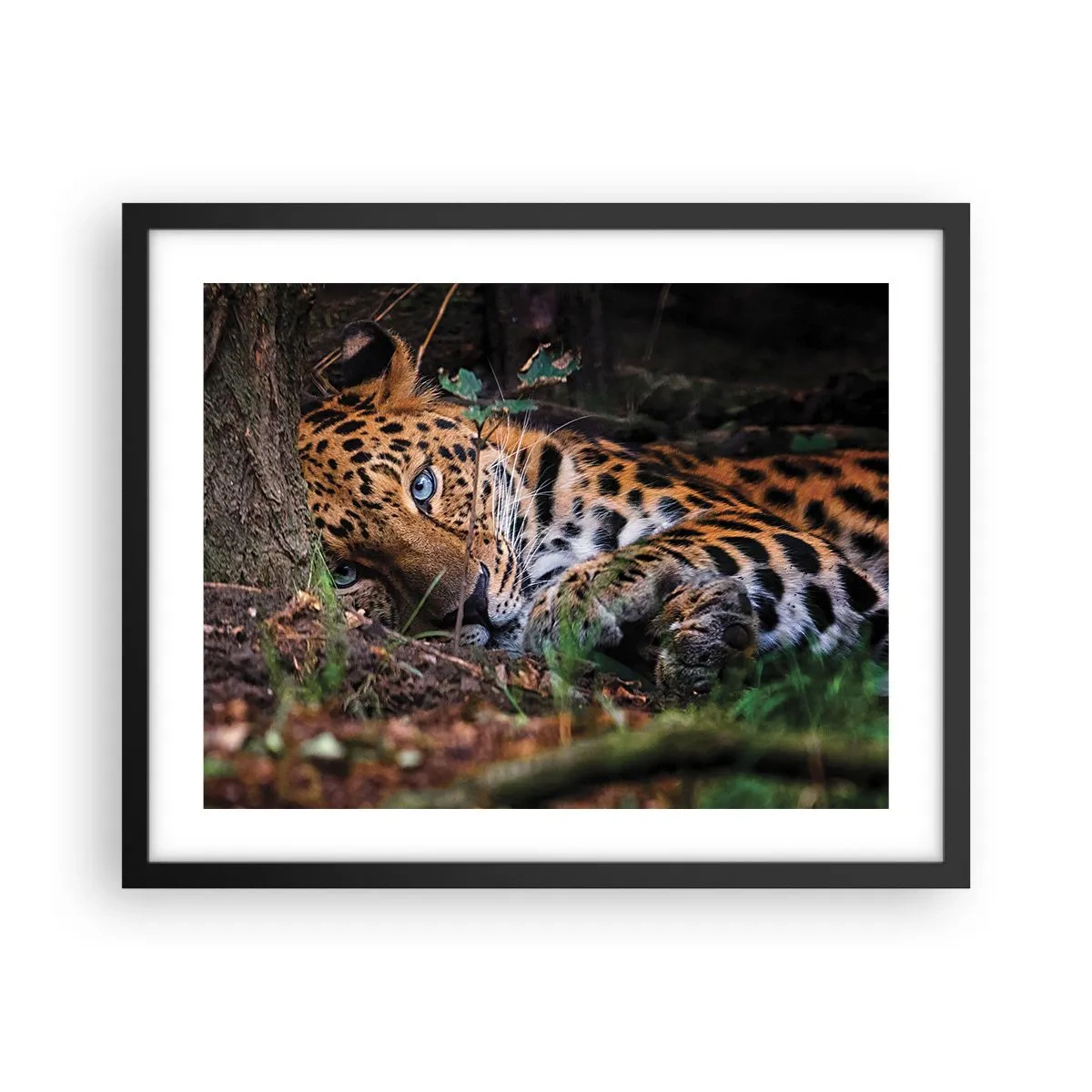 Poster in black frame - Trust Me - 50x40 cm