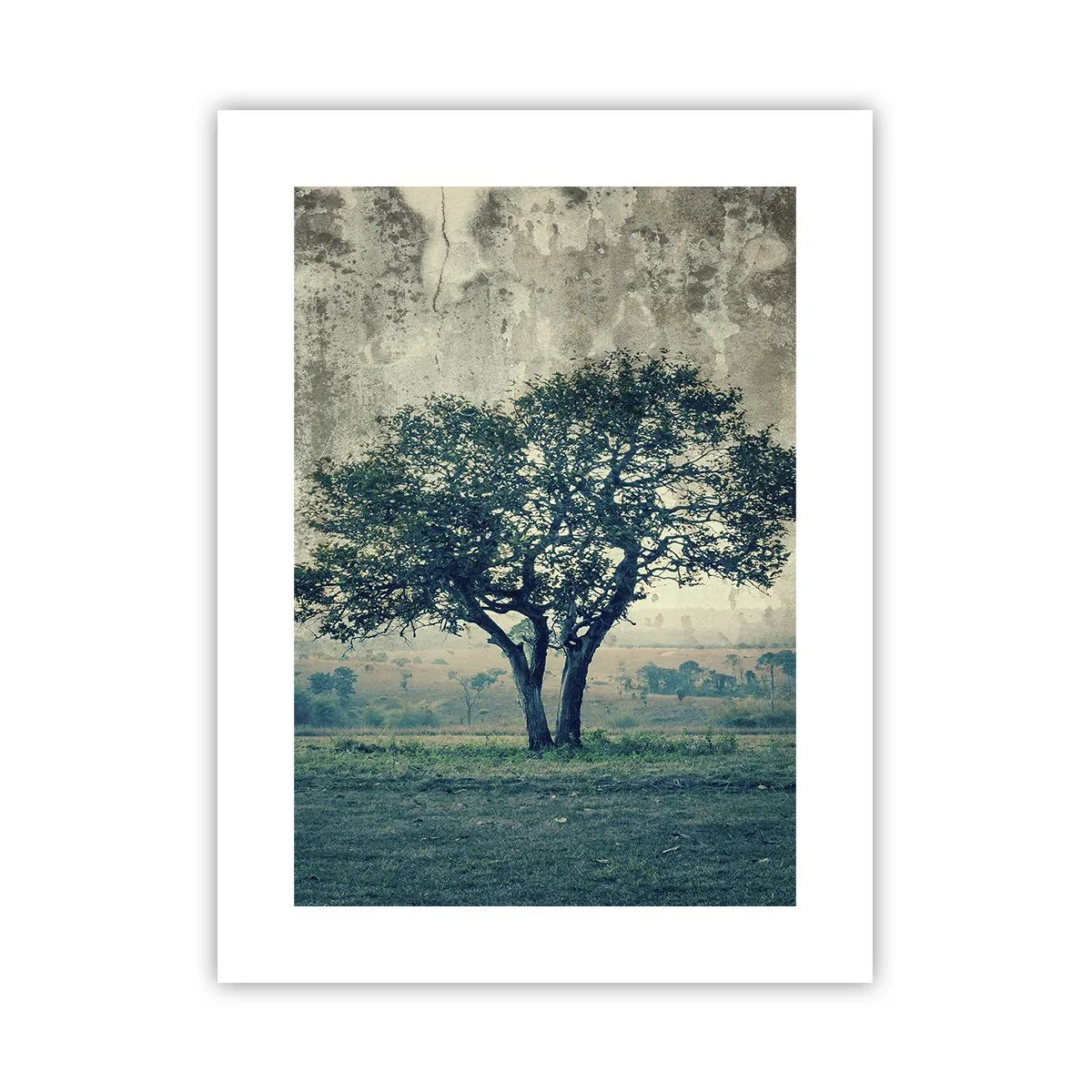 Poster - Apple Tree in Blue? - 30x40 cm