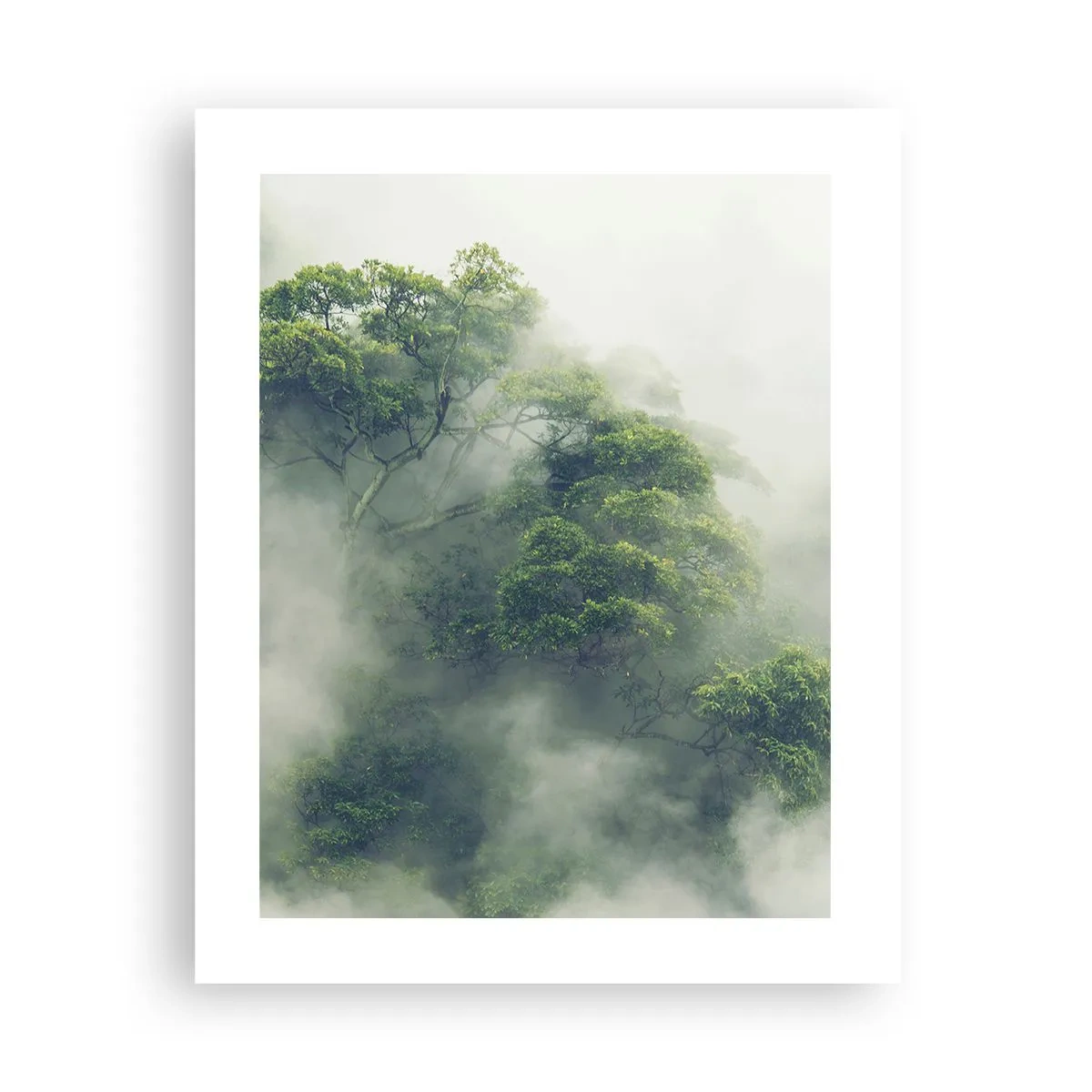 Poster - Wrapped In Fog - 40x50 cm