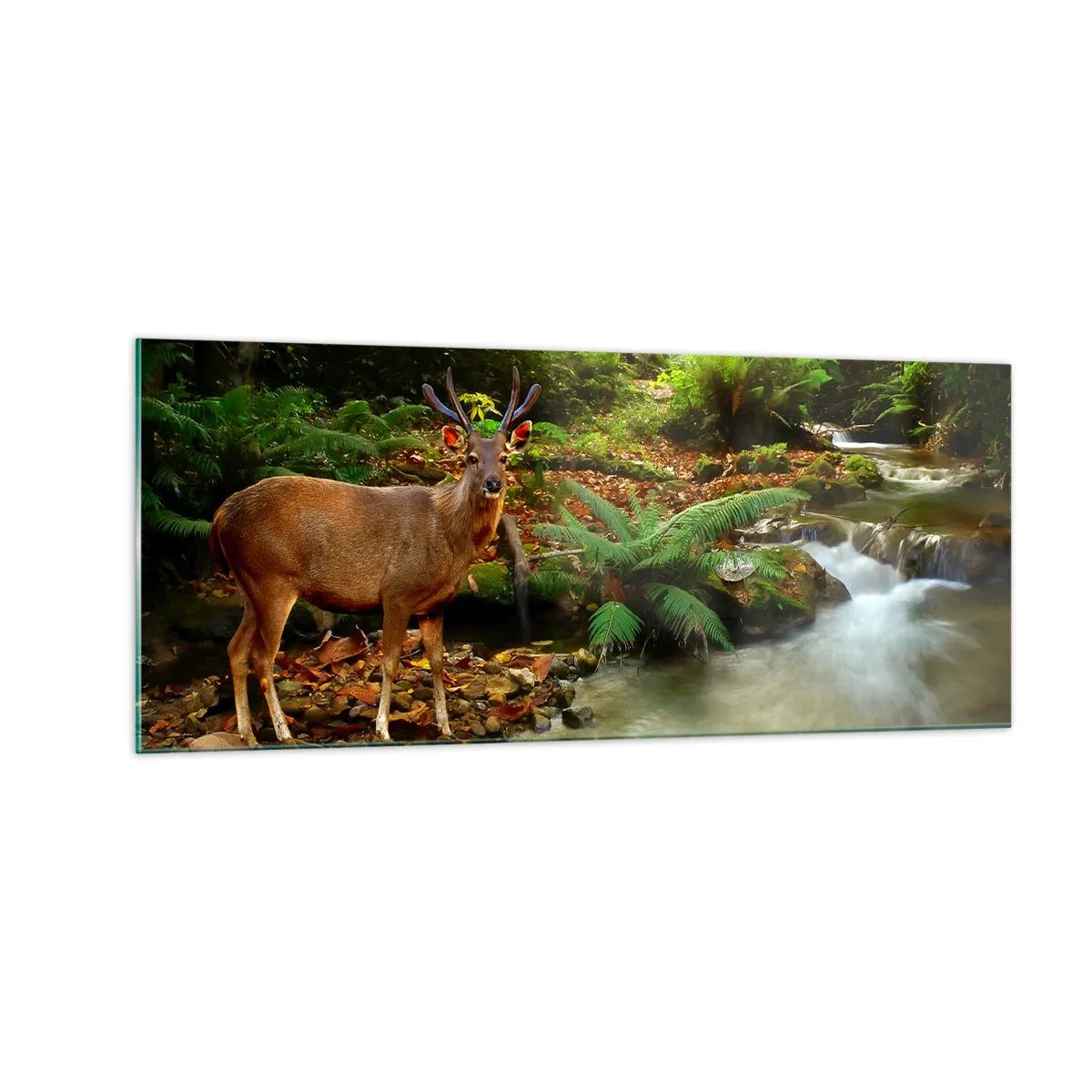 Glass picture - Wlecome to my World - 100x40 cm