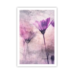 Poster - Dream of Flowers - 61x91 cm