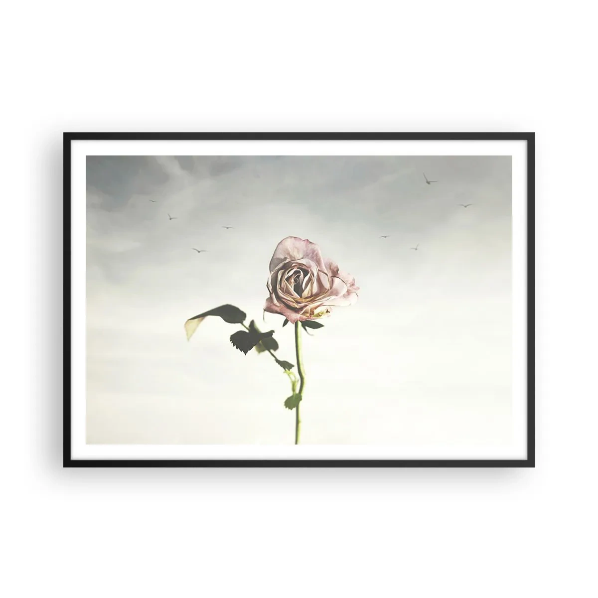 Poster in black frame - Welcoming of Spring - 100x70 cm