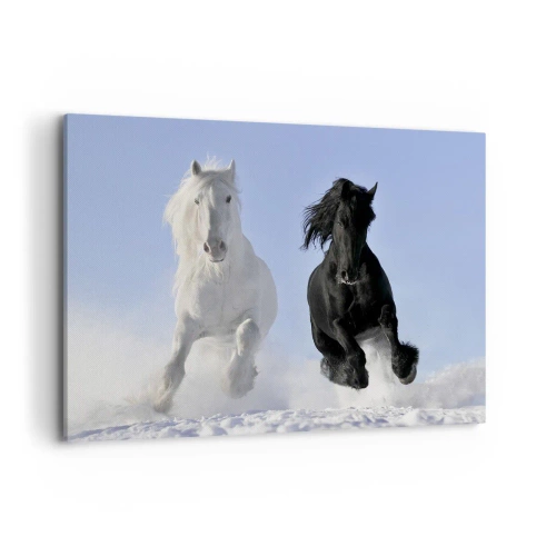 Canvas picture - Black and White Gallop - 100x70 cm