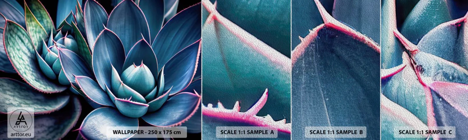 Photo Wallpaper Sample Premium Sand - Vital Strength - Flowers, Botany, Succulents - 100x30 cm