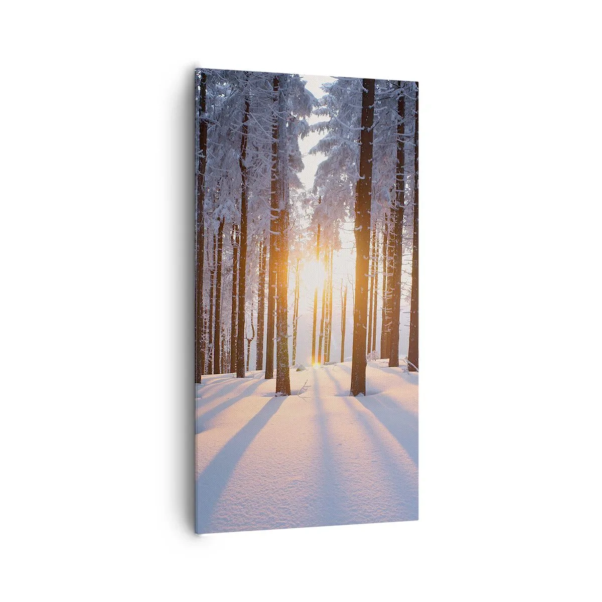 Canvas picture - Clearly Black on White - 65x120 cm