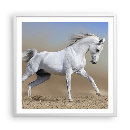 Poster in white frmae - The Most Beautiful Arabic Tale - 60x60 cm