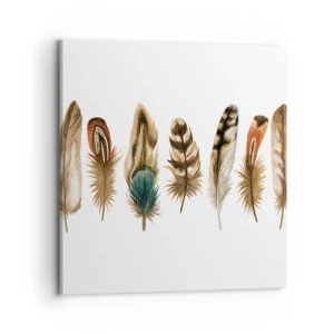Canvas picture - Feather Variation - 70x70 cm