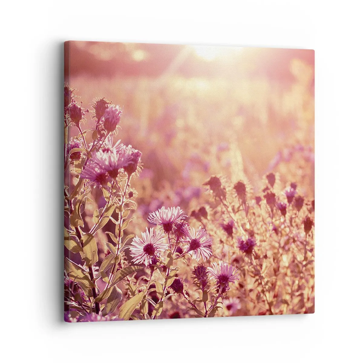 Canvas picture - Before Summer Goes - 30x30 cm