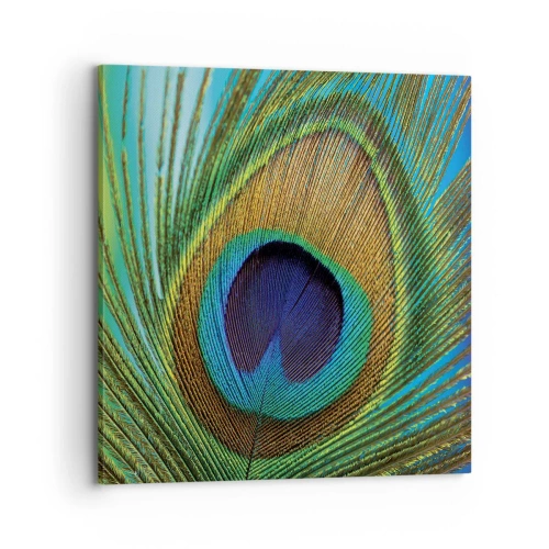 Canvas picture - Eye to Eye - 70x70 cm