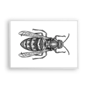 Poster in white frmae - From Insect Planet - 100x70 cm