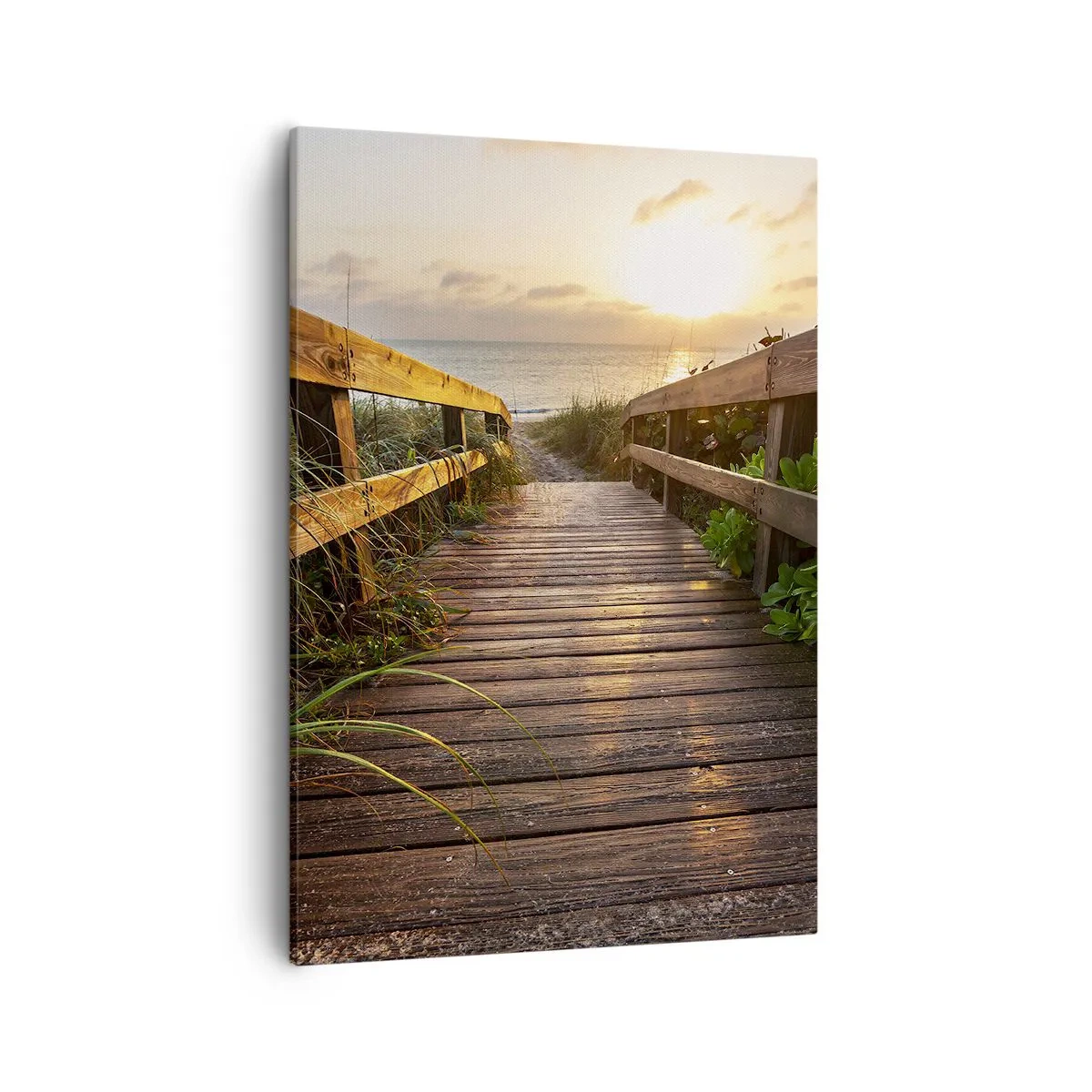 Canvas picture - Straigh to the Shore - 50x70 cm