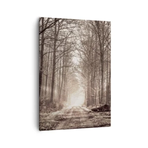 Canvas picture - Cathedral of the Forest - 50x70 cm