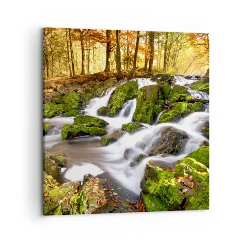 Canvas picture - Gingerly through an Autumnal Forest - 60x60 cm