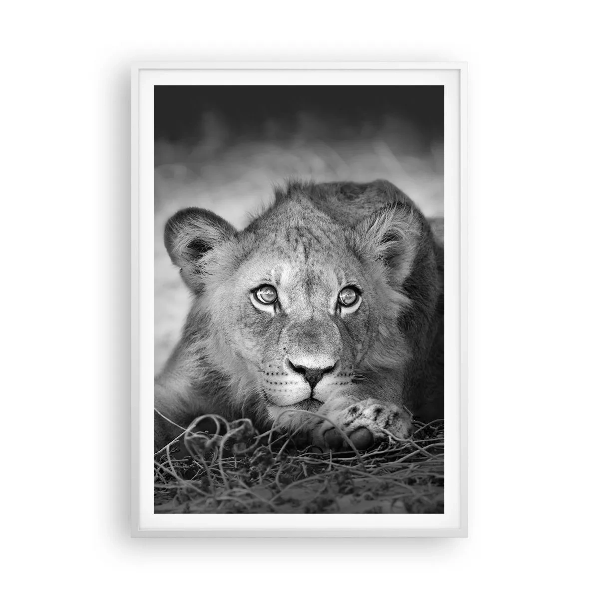 Poster in white frmae - Royal Puppy - 70x100 cm