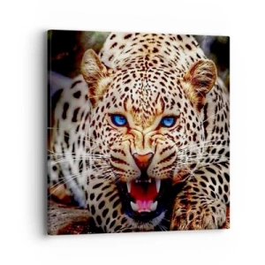 Canvas picture - Angry but Still Beautiful - 40x40 cm