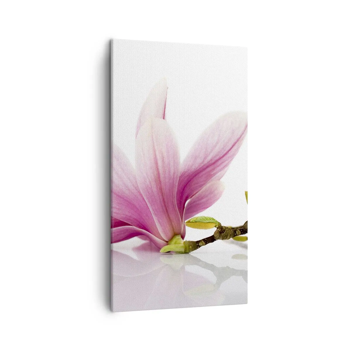 Canvas picture - Delicate Like a Spring Breeze - 45x80 cm